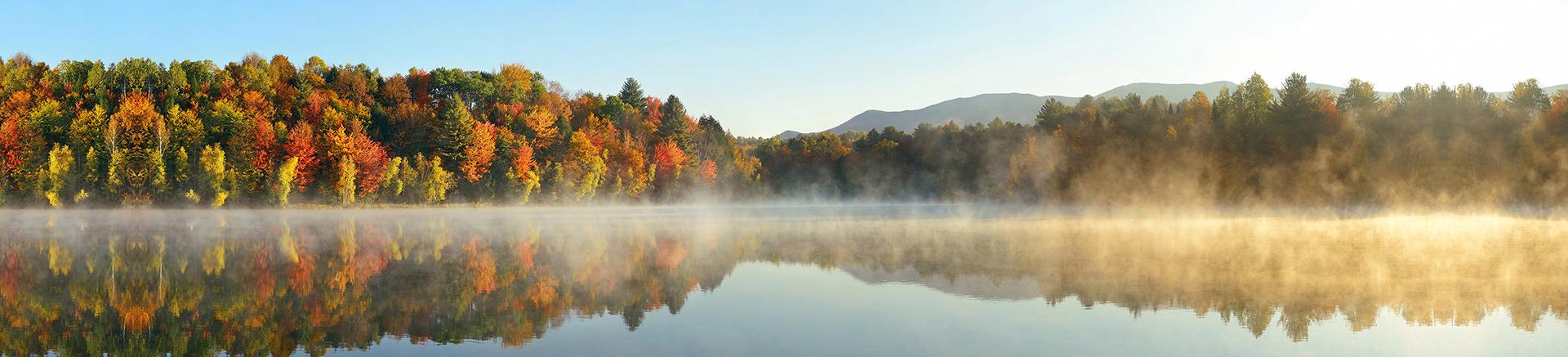 Dillon's Bus Service